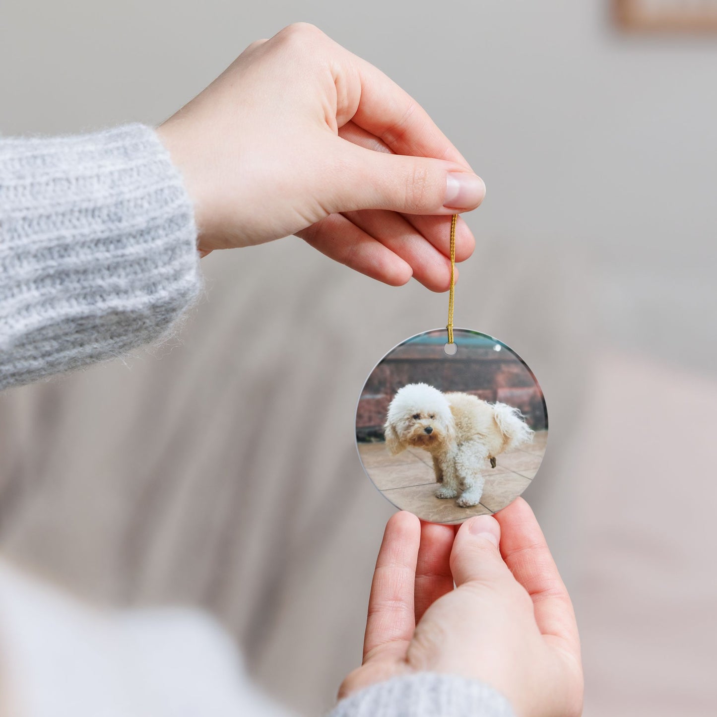 Funny Pooping Dog Ornament – Hilarious Pet Lover Christmas Decor – Ceramic Holiday Keepsake, Perfect Gift for Dog Lovers, Stocking Stuffers (2.8" Diameter)