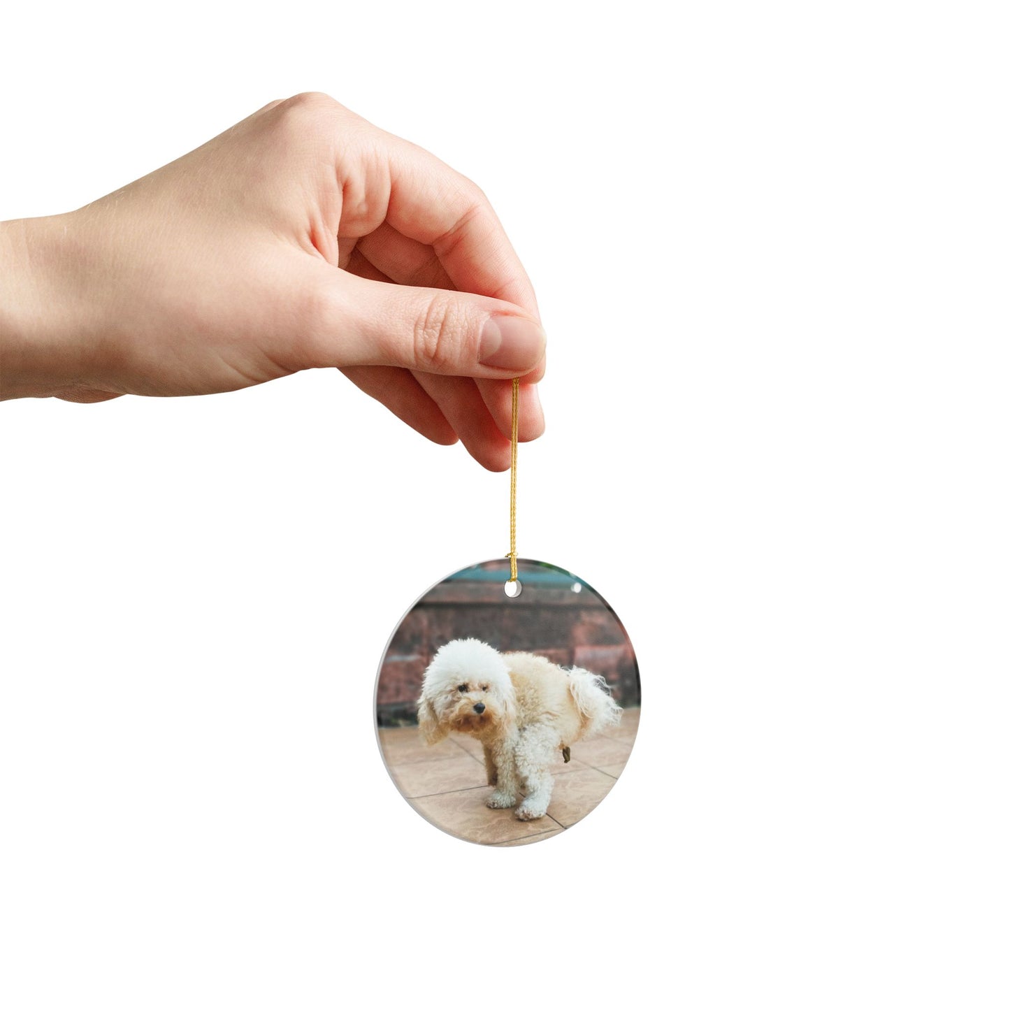 Funny Pooping Dog Ornament – Hilarious Pet Lover Christmas Decor – Ceramic Holiday Keepsake, Perfect Gift for Dog Lovers, Stocking Stuffers (2.8" Diameter)