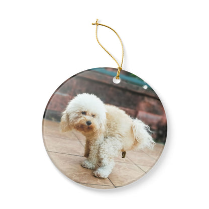 Funny Pooping Dog Ornament – Hilarious Pet Lover Christmas Decor – Ceramic Holiday Keepsake, Perfect Gift for Dog Lovers, Stocking Stuffers (2.8" Diameter)