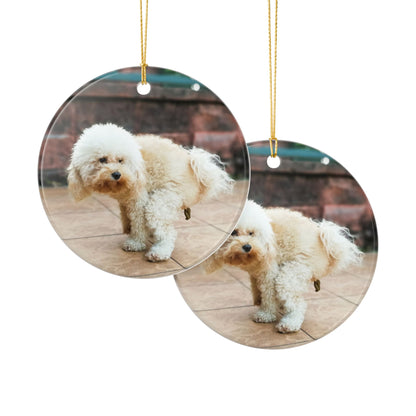 Funny Pooping Dog Ornament – Hilarious Pet Lover Christmas Decor – Ceramic Holiday Keepsake, Perfect Gift for Dog Lovers, Stocking Stuffers (2.8" Diameter)