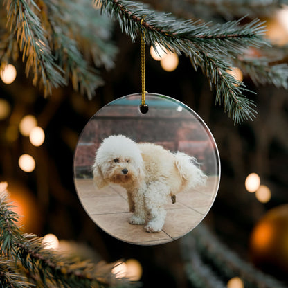 Funny Pooping Dog Ornament – Hilarious Pet Lover Christmas Decor – Ceramic Holiday Keepsake, Perfect Gift for Dog Lovers, Stocking Stuffers (2.8" Diameter)
