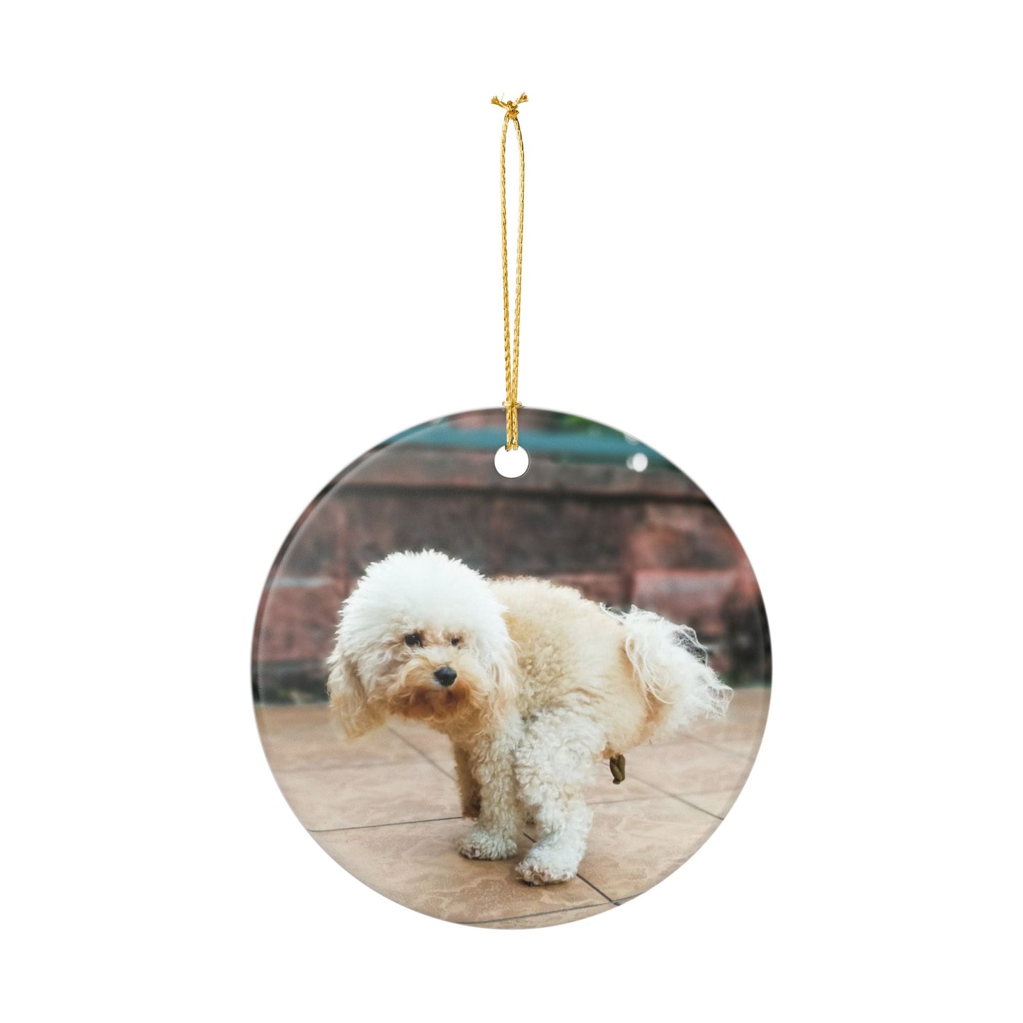 Funny Pooping Dog Ornament – Hilarious Pet Lover Christmas Decor – Ceramic Holiday Keepsake, Perfect Gift for Dog Lovers, Stocking Stuffers (2.8" Diameter)
