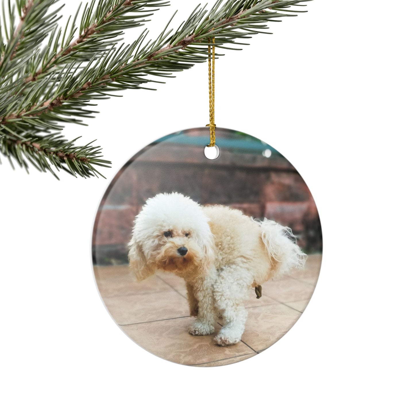 Funny Pooping Dog Ornament – Hilarious Pet Lover Christmas Decor – Ceramic Holiday Keepsake, Perfect Gift for Dog Lovers, Stocking Stuffers (2.8" Diameter)