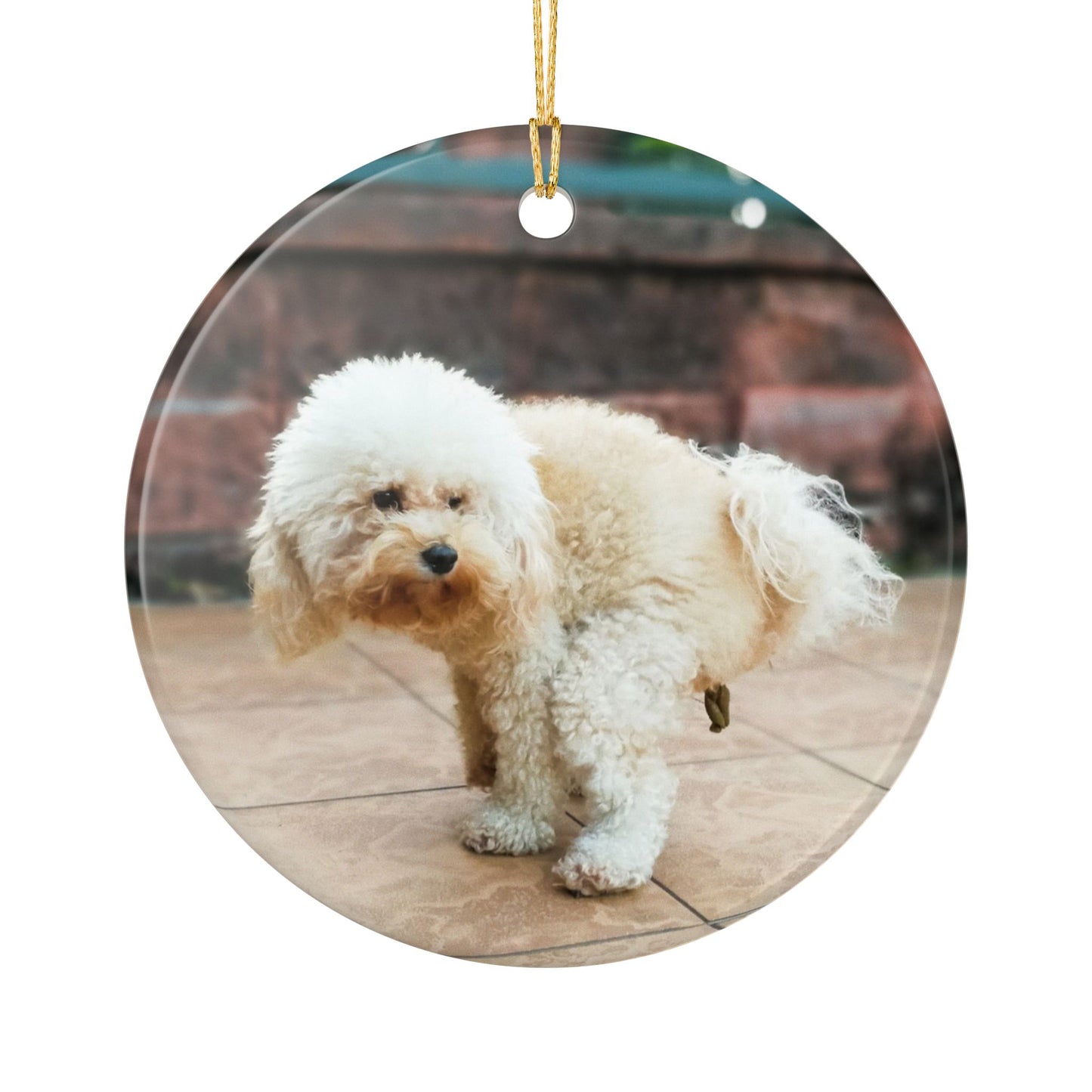 Funny Pooping Dog Ornament – Hilarious Pet Lover Christmas Decor – Ceramic Holiday Keepsake, Perfect Gift for Dog Lovers, Stocking Stuffers (2.8" Diameter)