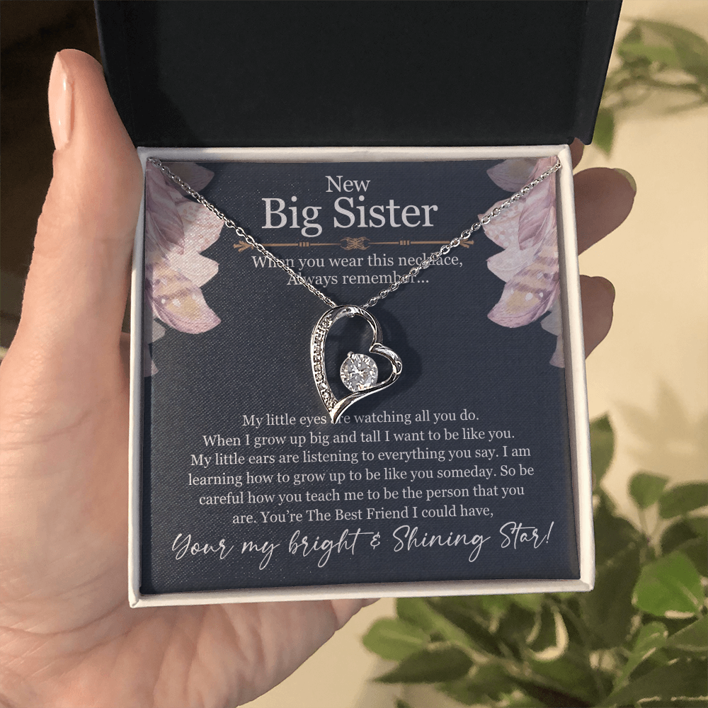 Best Gifts 305-Big Sister Necklace Gift Heart Pendant from Sibling