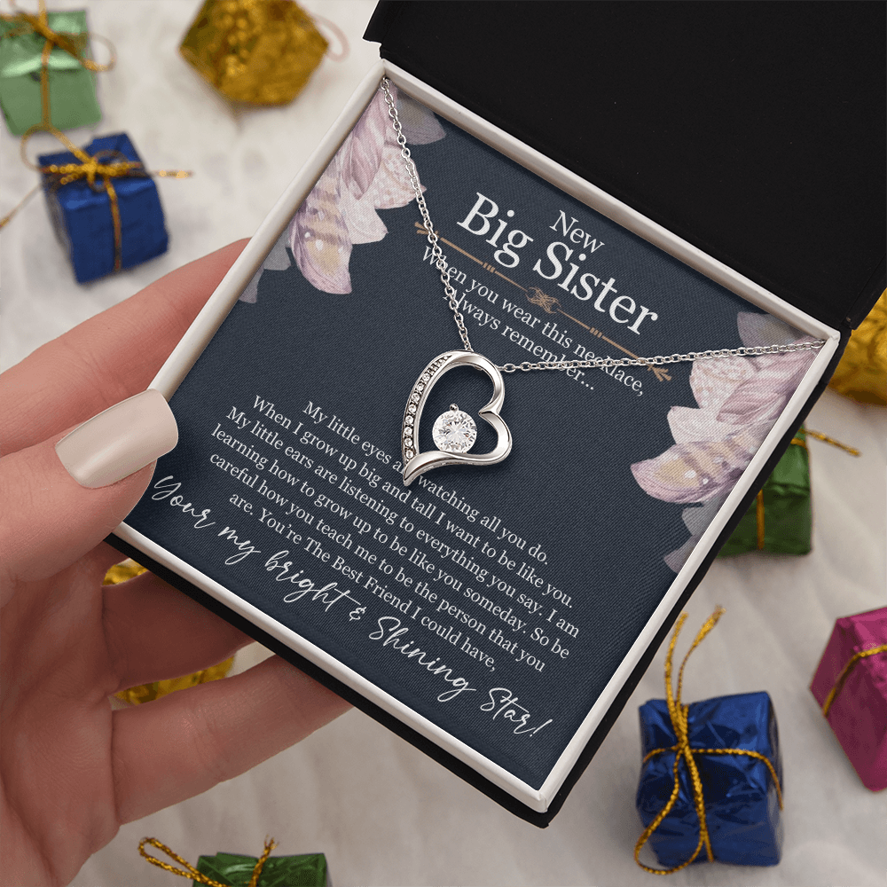 Best Gifts 305-Big Sister Necklace Gift Heart Pendant from Sibling