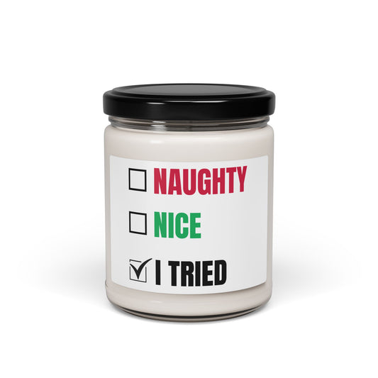 Best Gifts 305-Funny Naughty Nice I Tried Soy Candle Holiday Gift