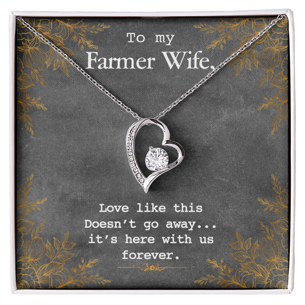 Best Gifts 305-To My Farmer Wife Forever Love Necklace with CZ Heart Pendant Gift for Her