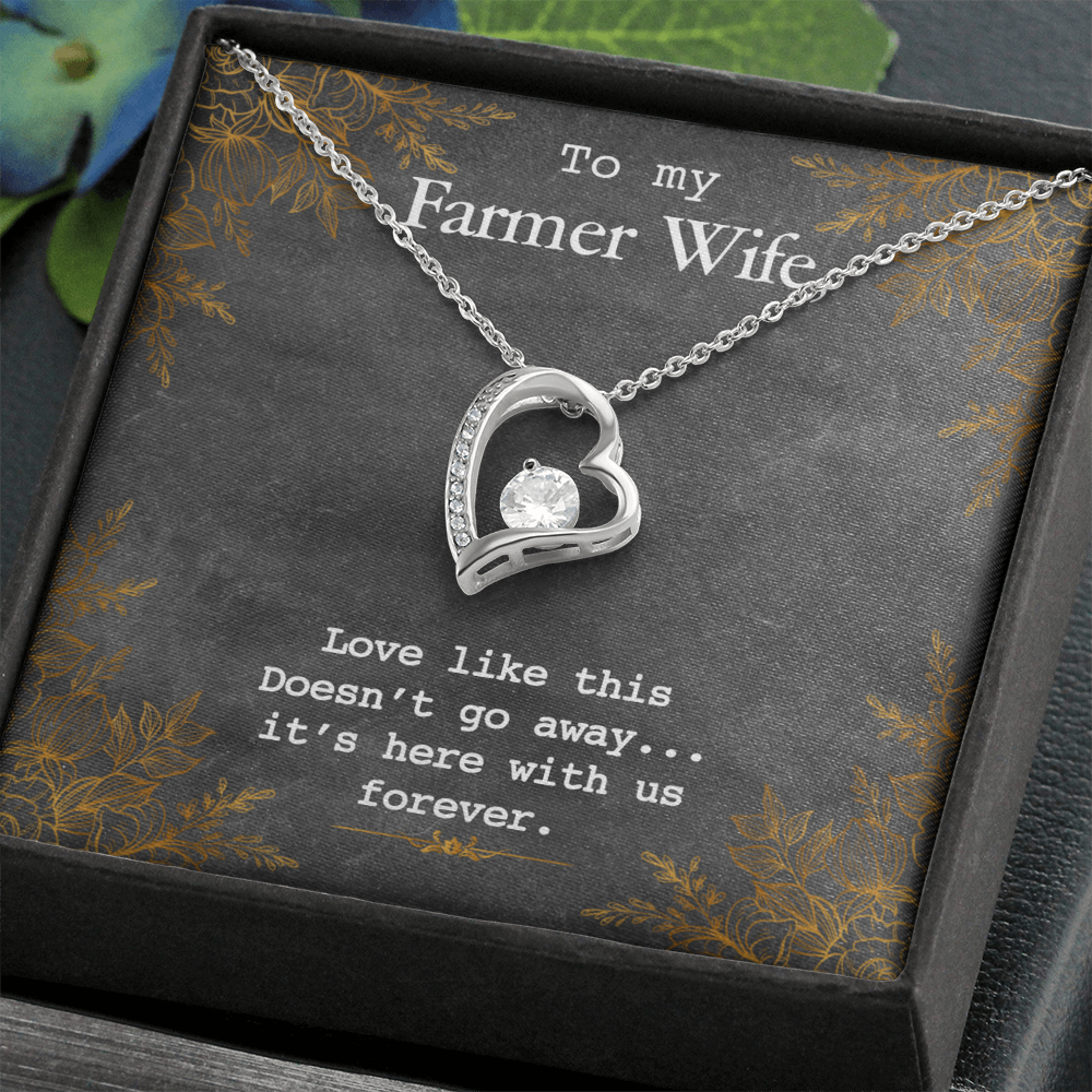 Best Gifts 305-To My Farmer Wife Forever Love Necklace with CZ Heart Pendant Gift for Her