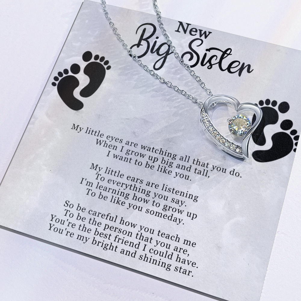 Best Gifts 305–New Big Sister Necklace – Heart CZ Pendant Gift for Big Sister