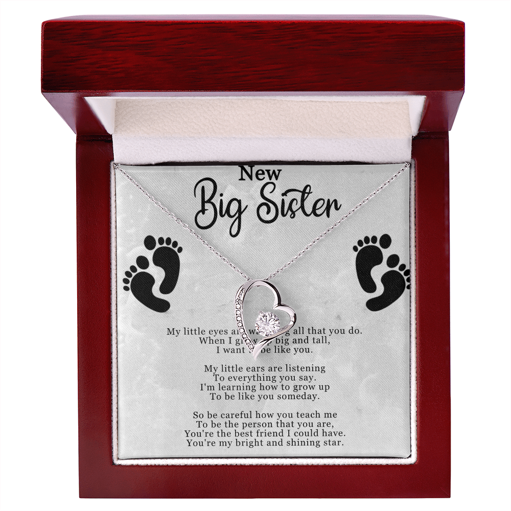 New Big Sister Necklace - Forever Love Pendant with CZ Crystal - Inspirational Gift for Big Sister - 14k White Gold or 18k Yellow Gold Finish - Adjustable Chain