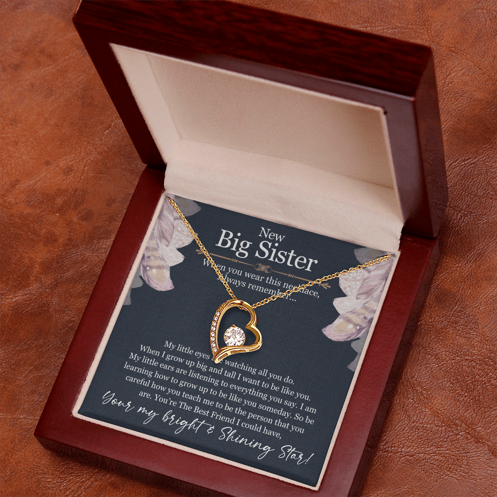 Big Sister Necklace Gift – Forever Love Heart Pendant from Little Sister or Brother, New Big Sister Jewelry