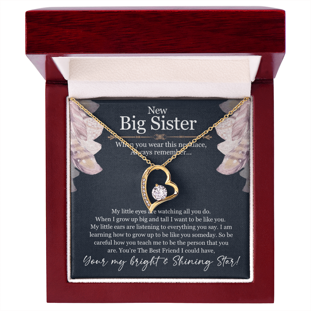 Big Sister Necklace Gift – Forever Love Heart Pendant from Little Sister or Brother, New Big Sister Jewelry