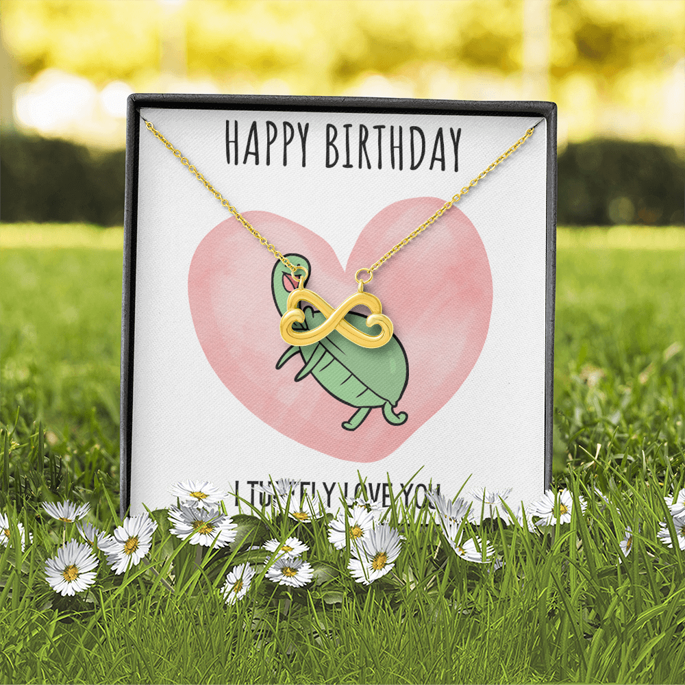 Funny Turtle Endless Love Necklace Happy Birthday Gift For Her, Animal Pun Message Card Jewelry Birthday Present From Him, Dad Joke Gag Gifts For Birthday by Best Gifts 305