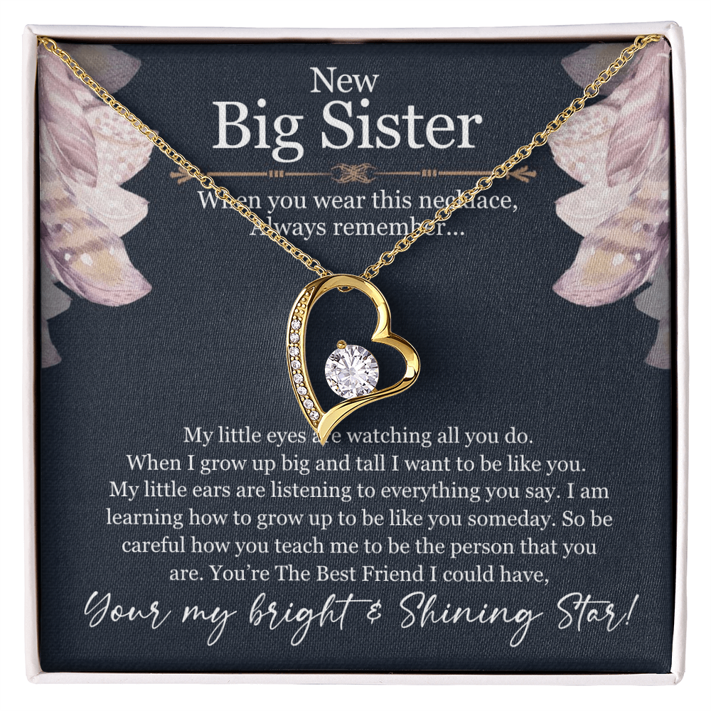 Big Sister Necklace Gift – Forever Love Heart Pendant from Little Sister or Brother, New Big Sister Jewelry
