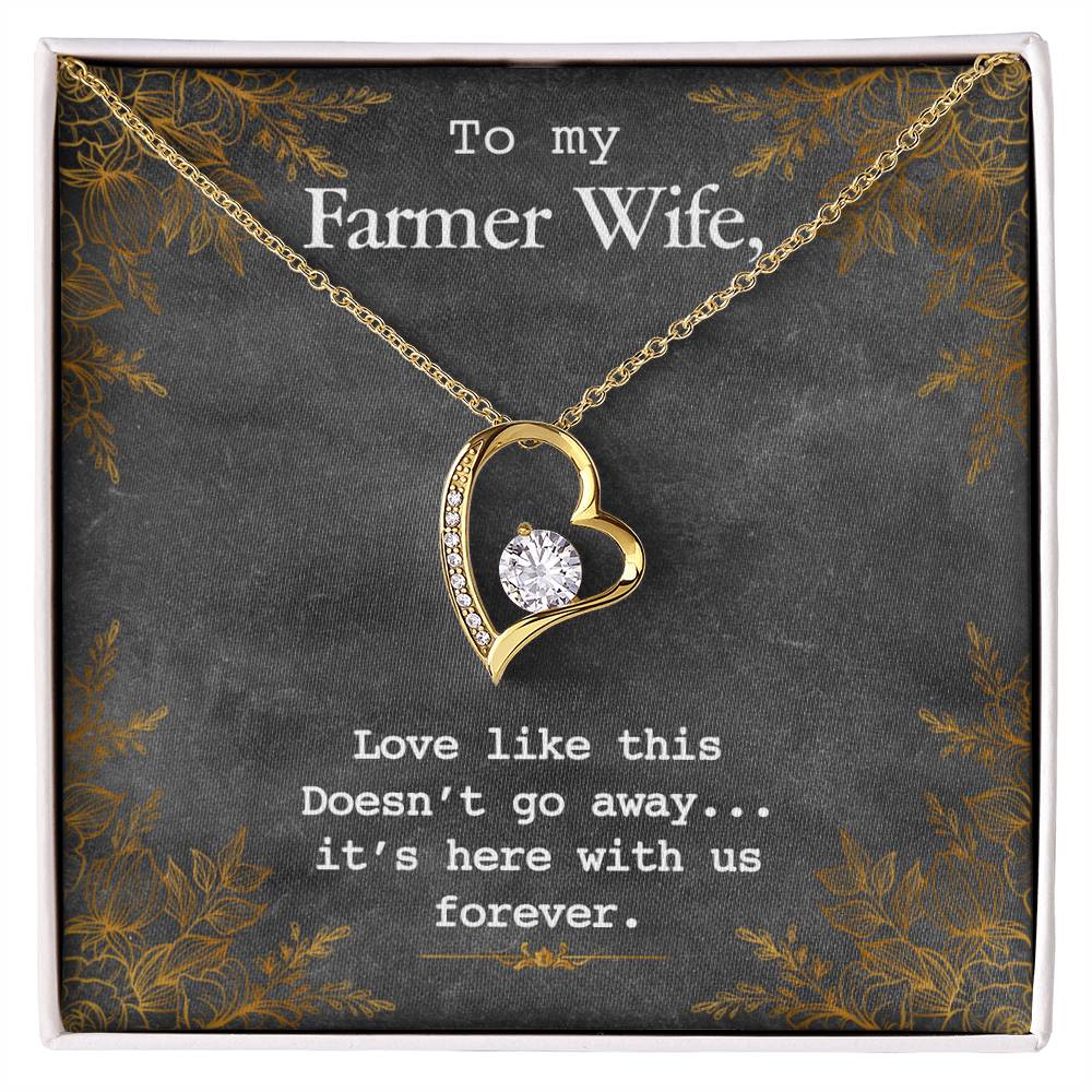 To My Farmer Wife Forever Love Necklace - 14k White Gold or 18k Yellow Gold Finish with CZ Crystal - Adjustable 18" to 22" Chain - Perfect Gift for Her
