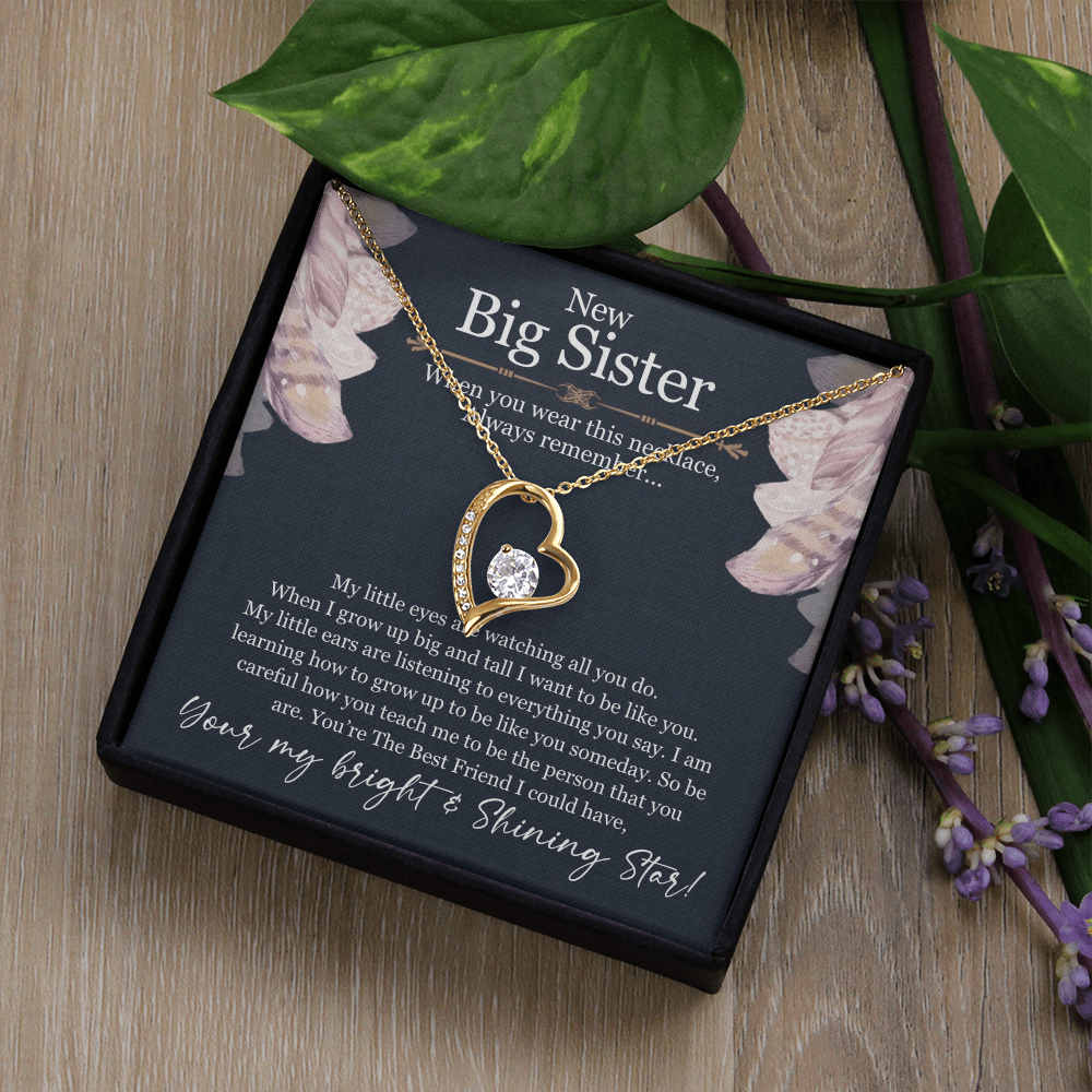 Big Sister Necklace Gift – Forever Love Heart Pendant from Little Sister or Brother, New Big Sister Jewelry