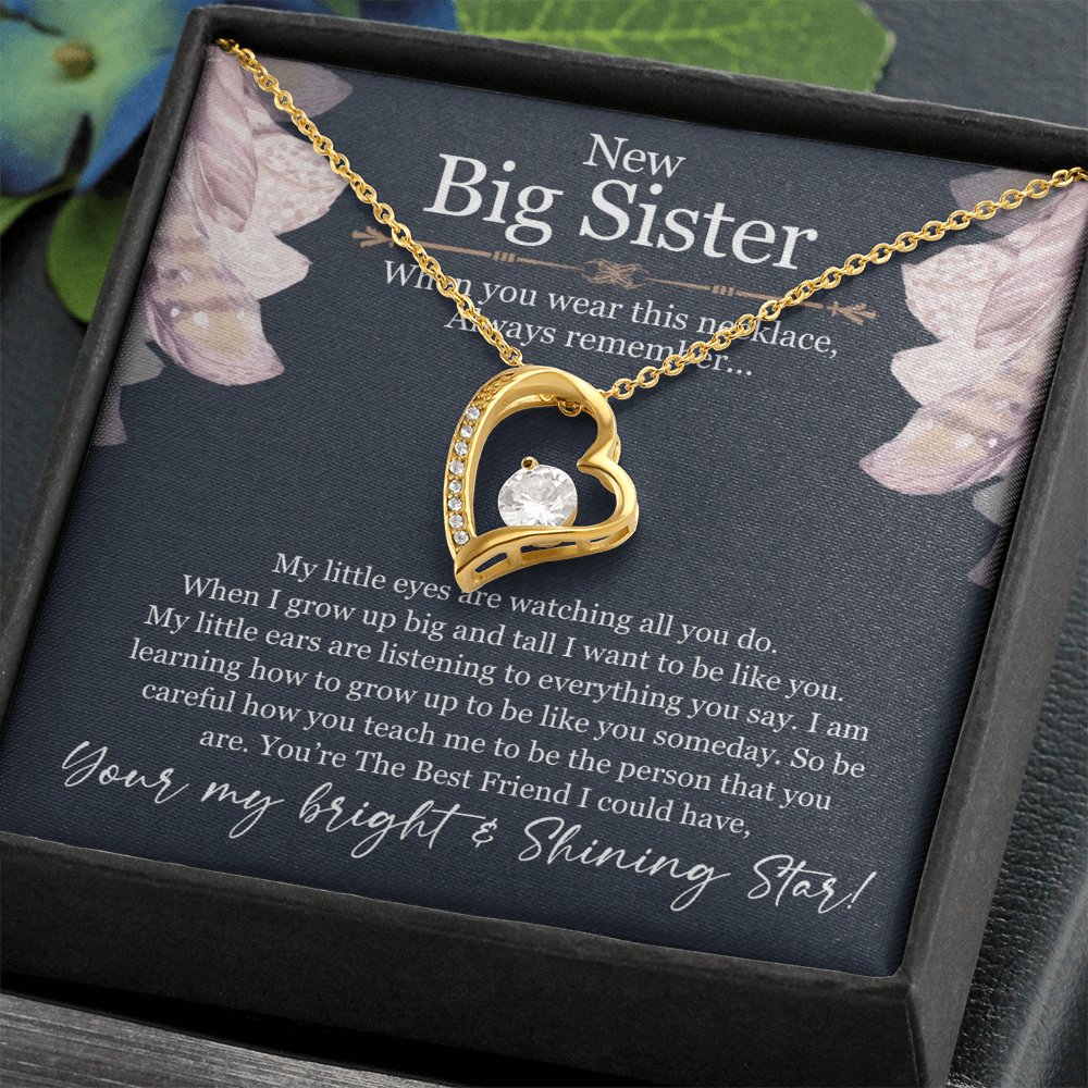 Big Sister Necklace Gift – Forever Love Heart Pendant from Little Sister or Brother, New Big Sister Jewelry