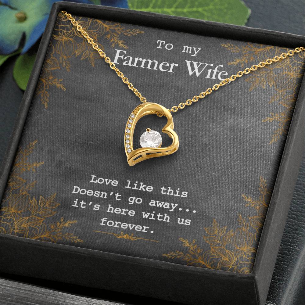 To My Farmer Wife Forever Love Necklace - 14k White Gold or 18k Yellow Gold Finish with CZ Crystal - Adjustable 18" to 22" Chain - Perfect Gift for Her