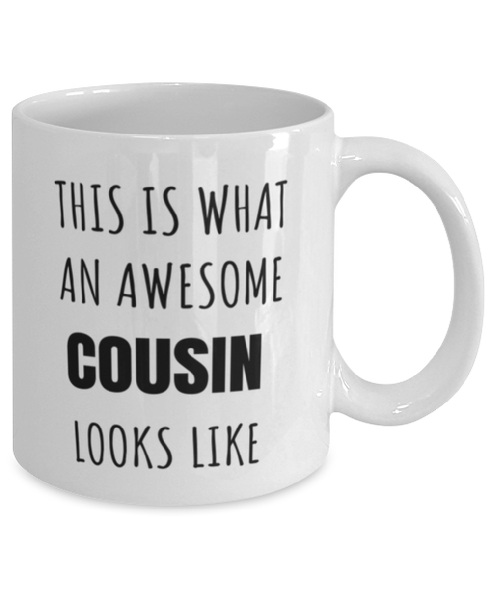 Funny Birthday Mug Gift for Cousin, Awesome Cousin Mug, Funny Christmas Mug Present From Cousins